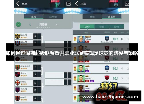 如何通过深圳超级联赛晋升职业联赛实现足球梦的路径与策略